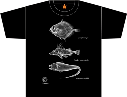   Дизайн футболки 2014 г., созданный Николасом Гаско