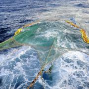 krill trawling net
